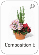 Catalogue fleurissement de tombe été En sa mémoire