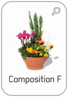 Catalogue fleurissement de tombe été En sa mémoire