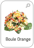 Boule-orange