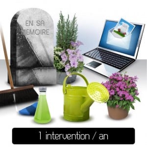 1 intervention par an