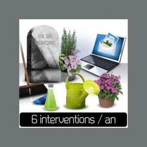 6 interventions par an