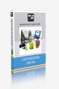 Entretien de sépulture 1 intervention