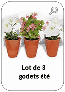 Lots de 3 godets été