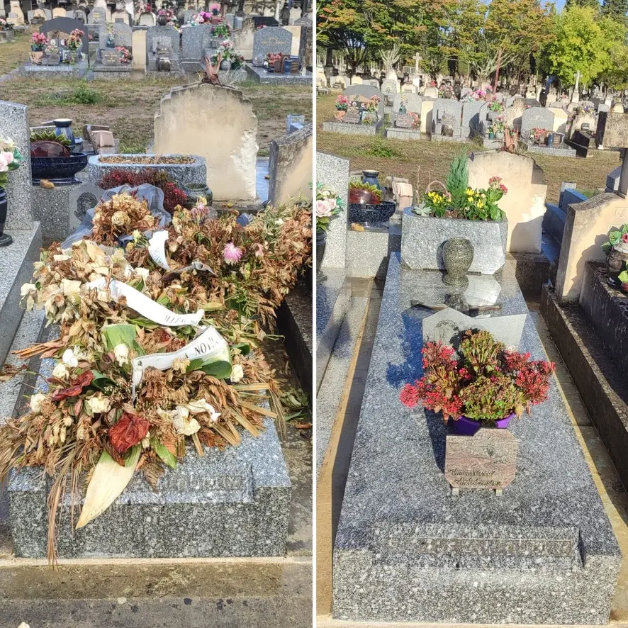 Tombe ornée de fleurs fraîches et fanées avec gerbe et ruban; vue avant/après entretien et fleurissement dans le cimetière. Tombe ornée de fleurs fraîches et fanées avec gerbe et ruban; vue avant/après entretien et fleurissement dans le cimetière.