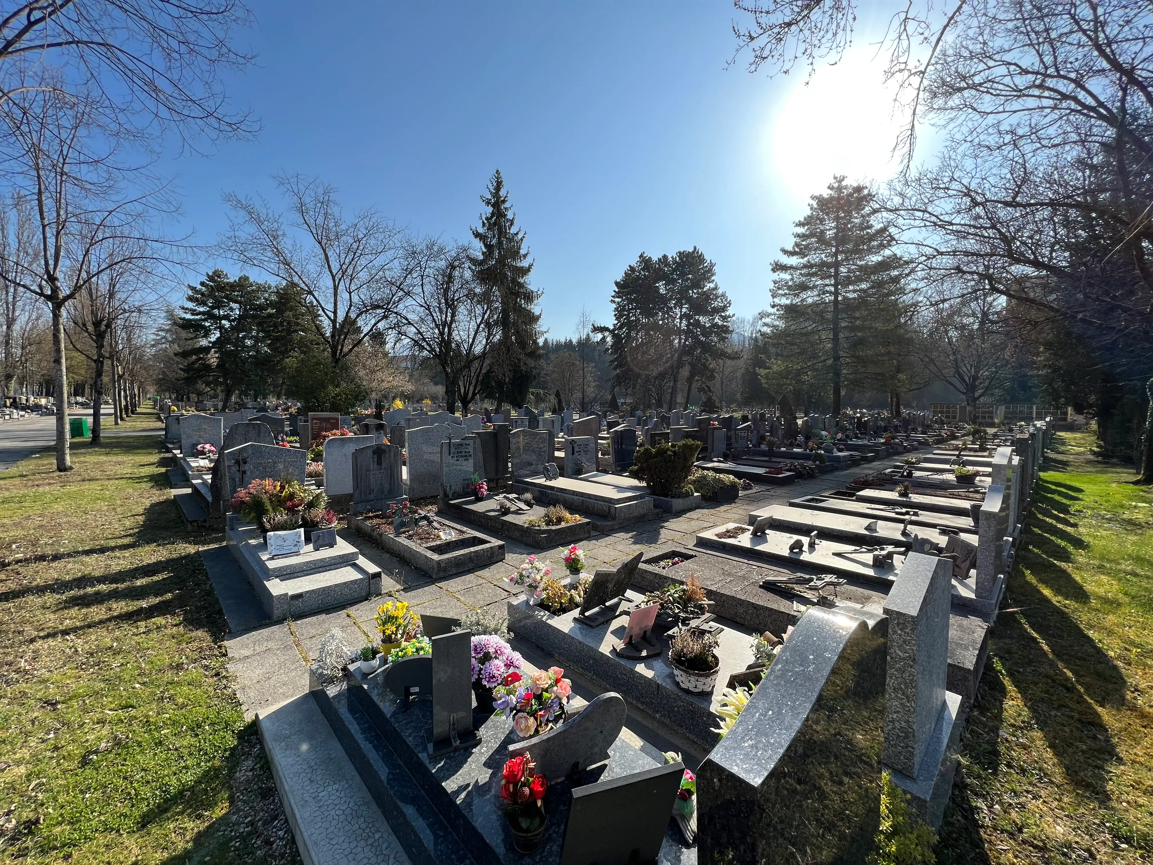 Cimetière entretenu de tombes en pierre gravée, fleurs et décorations sur les pierres, arbres dénudés et soleil brillant en arrière-plan. Cimetière entretenu de tombes en pierre gravée, fleurs et décorations sur les pierres, arbres dénudés et soleil brillant en arrière-plan.