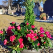 Fleurissement de sépultures : choix et qualité de plantes fraîches