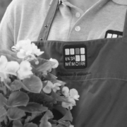 Les 5 conseils En Sa mémoire pour nettoyer les tombes à la Toussaint et aux Rameaux: En sa mémoire, entretien monument funéraire et sepulture