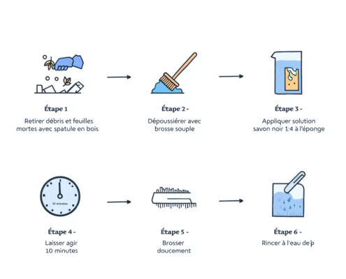 Processus de nettoyage d'une tombe en granit