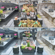 Tombe en pierre noire et monuments funéraires withered flowers avant/après nettoyage et fleurissement, vase et plates-formes gravées, bouquets colorés sur tombe.