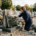 Femme nettoyant une pierre tombale en granite au cimetière, au pollen et outils à proximité, context de produits nettoyage pierre tombale.