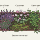 Plantes résistantes cimetière disposées dans un bac, avec buvrium hivernant, cyclamen en centre, lierre persistant montant sur le bord et couvre-sol en dessous.