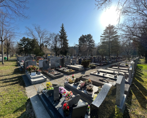 Cimetière rectiligne au soleil avec de nombreuses tombes gravées et décorées de fleurs, entouré d’arbres.