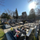 Cimetière rectiligne au soleil avec de nombreuses tombes gravées et décorées de fleurs, entouré d’arbres.