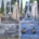 Deux tombes similaires en pierre dans un cimetière: devant des socles marbrés et des croix, fleurs variées en pots sur les marches.