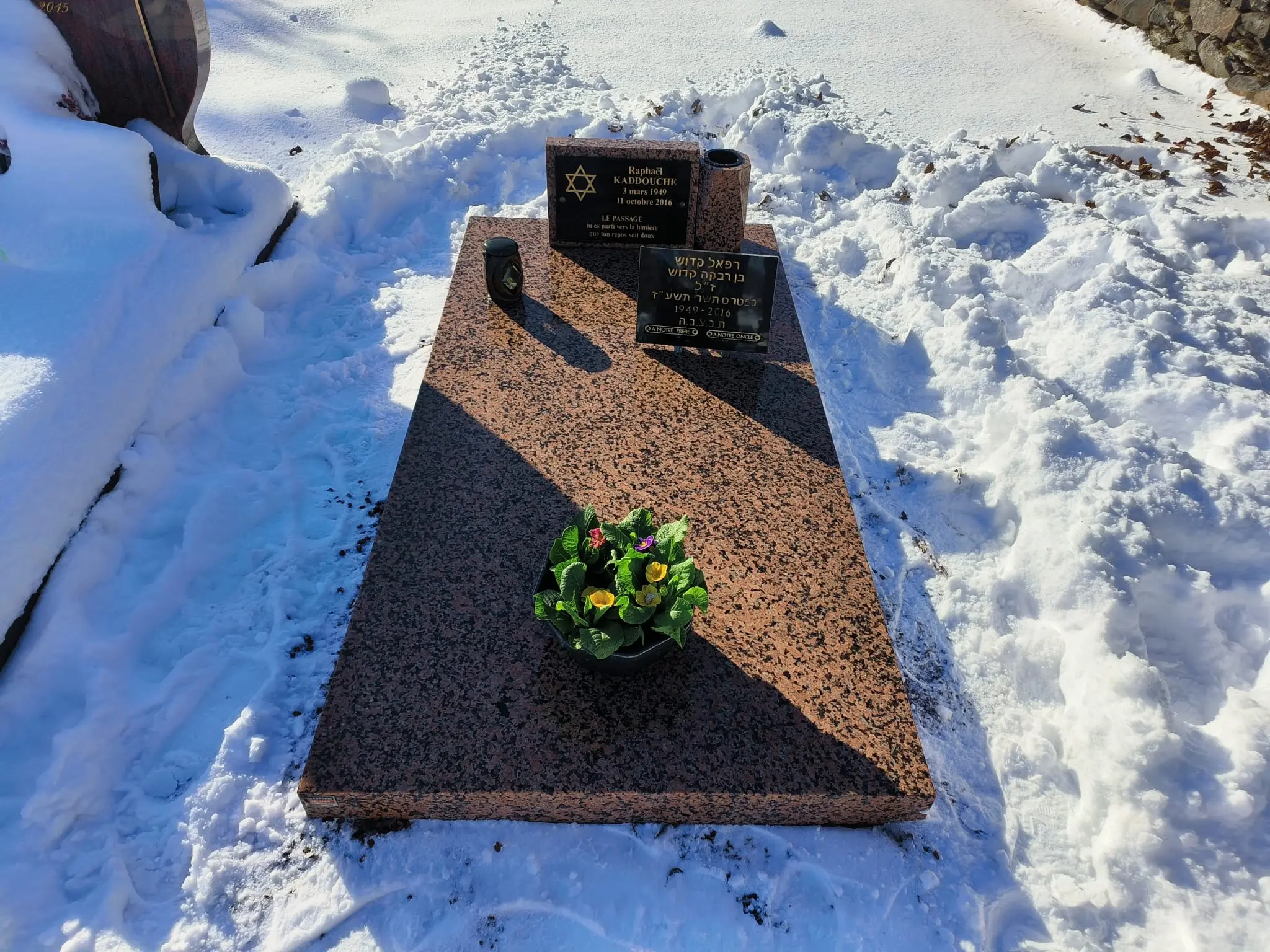 Fleur pour le cimetière en hiver: pot de fleurs jaunes et vertes posé sur une tombe en granit, entourée de neige.