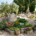 Tombe décorée avec des fleurs et des plantes résistantes, lavandes et succulentes, bouquet coloré dans un jardin funéraire. fleurs qui tiennent longtemps cimetière