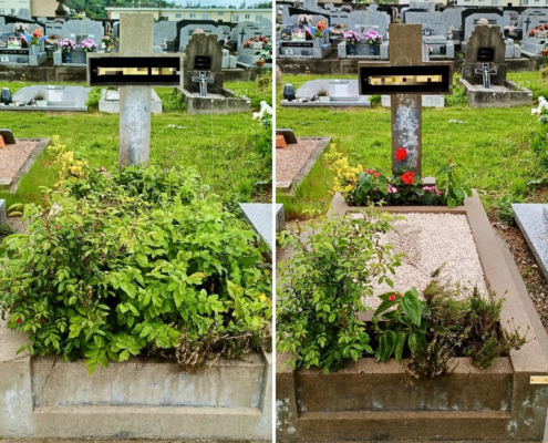 Tombes dans un cimetière avec jardinières avant/après nettoyage, fleurs et verdure abondantes sur la tombe gauche; tombe droite entretenue avec plantes et gravier propres.