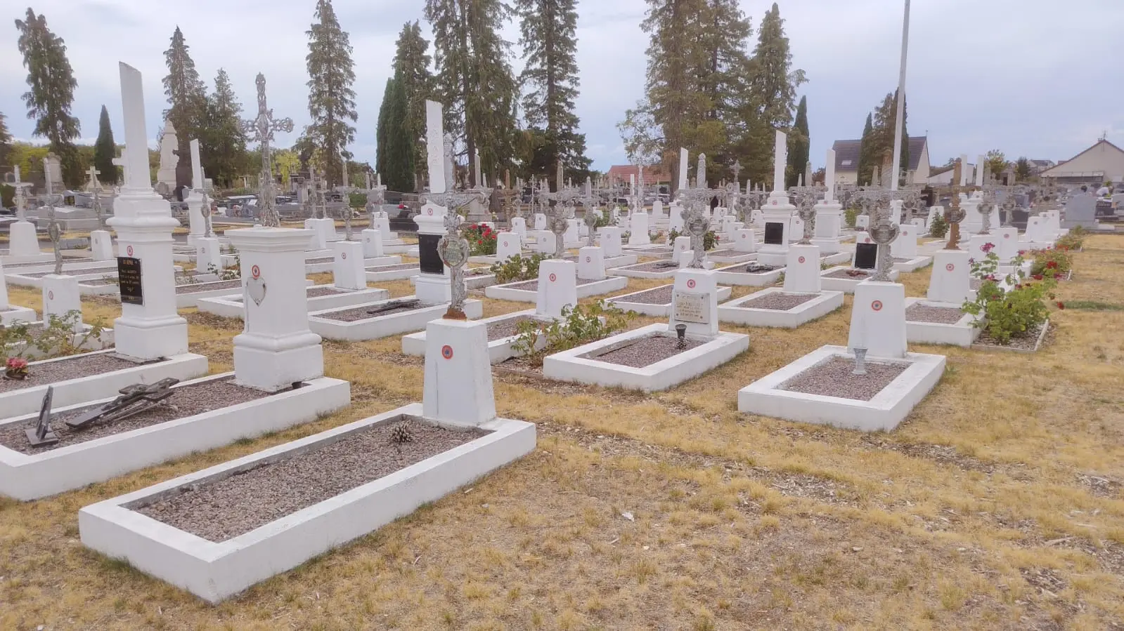 Allée de tombes dans un cimetière, lignes de monuments blancs avec gravures et fleurs saisonnières, herbe jaunie et arbres au fond. Allée de tombes dans un cimetière, lignes de monuments blancs avec gravures et fleurs saisonnières, herbe jaunie et arbres au fond.
