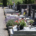 Allée de tombes fleuries dans un cimetière, rangées de pierres tombales avec pots de fleurs et lavande au premier plan, montagnes et arbres en arrière-plan.