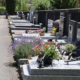 Allée de tombes fleuries dans un cimetière, rangées de pierres tombales avec pots de fleurs et lavande au premier plan, montagnes et arbres en arrière-plan.