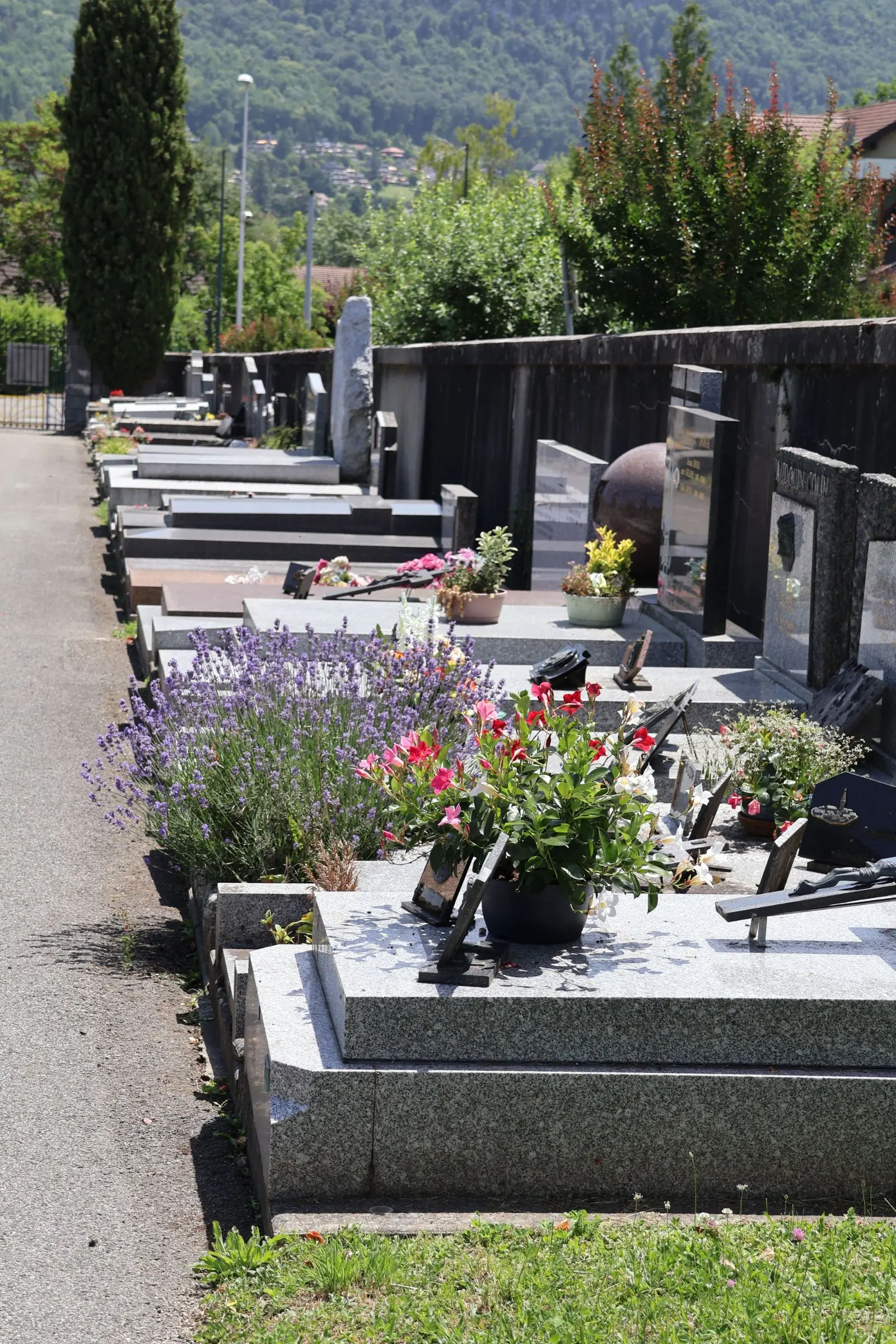 Allée de tombes fleuries dans un cimetière, rangées de pierres tombales avec pots de fleurs et lavande au premier plan, montagnes et arbres en arrière-plan. Allée de tombes fleuries dans un cimetière, rangées de pierres tombales avec pots de fleurs et lavande au premier plan, montagnes et arbres en arrière-plan.