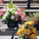 Bouquet de fleurs jaunes et orange posé au premier plan sur une tombe, entouré de compositions colorées et de verdure sur un cimetière. rendre hommage personne décédée anniversaire.
