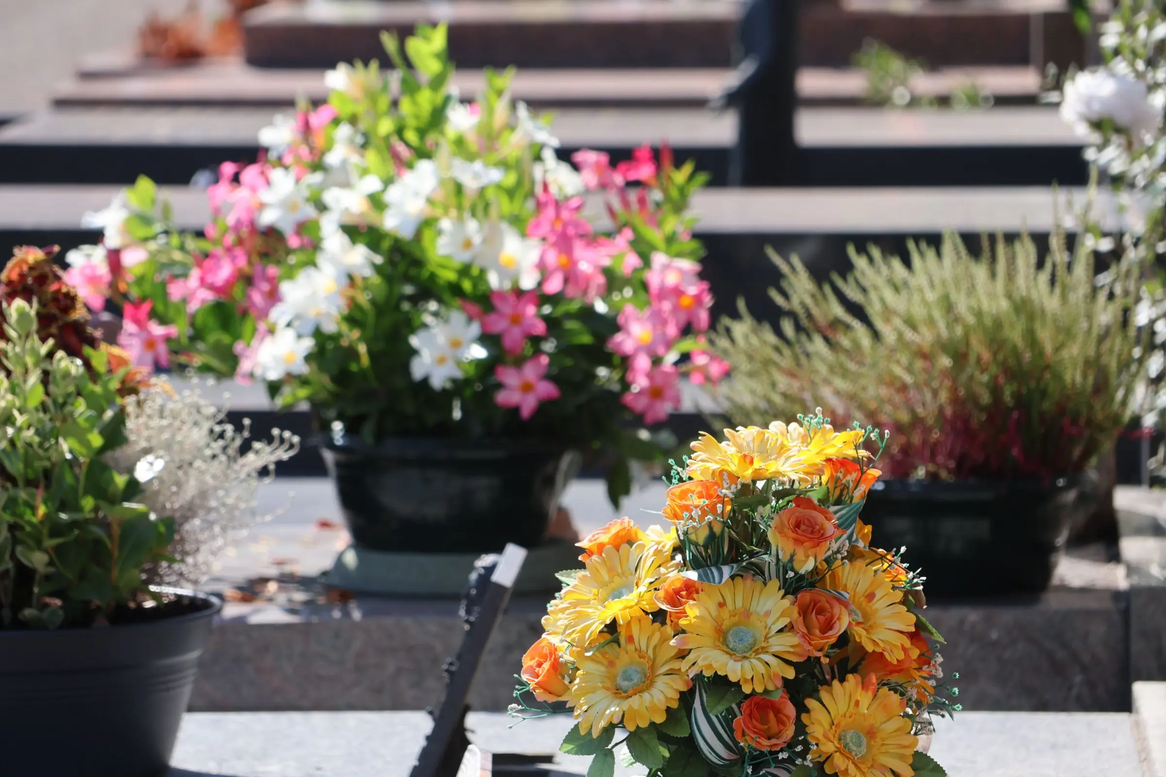 Bouquet de fleurs jaunes et orange posé au premier plan sur une tombe, entouré de compositions colorées et de verdure sur un cimetière. rendre hommage personne décédée anniversaire.