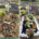 Deux tombes avant/après entretien: à gauche, jardinière vieillie de fleurs fanées et feuilles mourantes; à droite, tombe fleurie avec jardinière colorée, croix blanche et bordure de galets blancs.