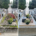 Deux tombes de cimetière en béton avant/après nettoyage: la première montre pierre recouverte de mousse et salissures, la seconde est propre et lumineuse avec des plantes en pot.