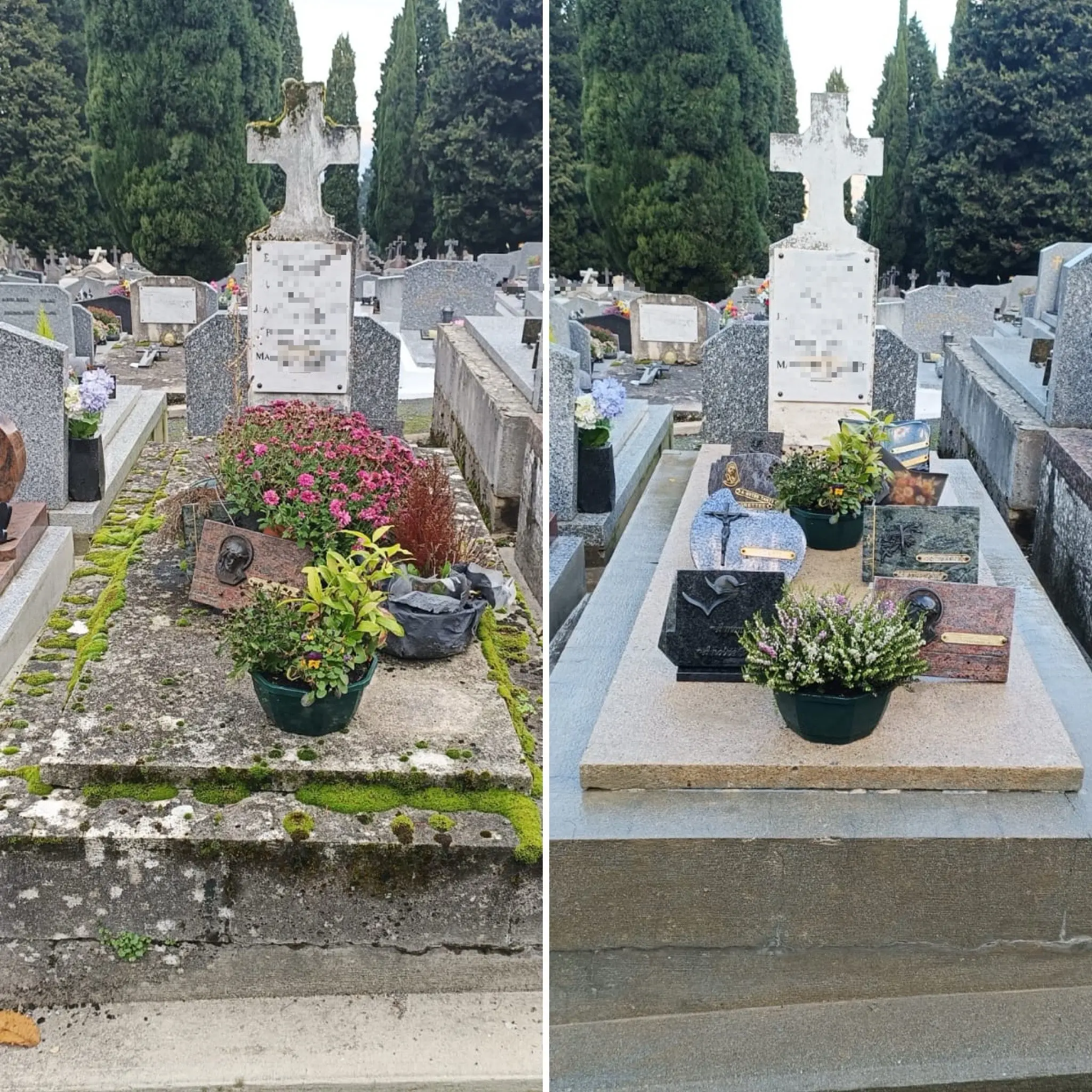 Deux tombes de cimetière en béton avant/après nettoyage: la première montre pierre recouverte de mousse et salissures, la seconde est propre et lumineuse avec des plantes en pot.