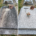 Deux vues d’une tombe avant/après nettoyage: dalle gravée et fleurs fanées remplacées par bouquet frais; vitre d’angle et plaque funéraire visibles. Altération et entretien sans déplacement.