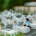 Personne assise près de tombes blanches dans un cimetière, dépose des offrandes et fleurissants, évoquant les traditions commémoratives pour défunts.
