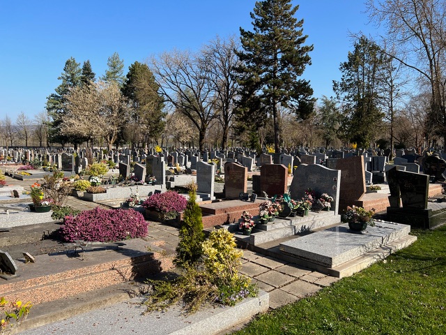 Vue d’un cimetière avec rangées de tombes gravées et fleurs, sous un ciel bleu; offre des détails sur une concession cimetière 50 ans.