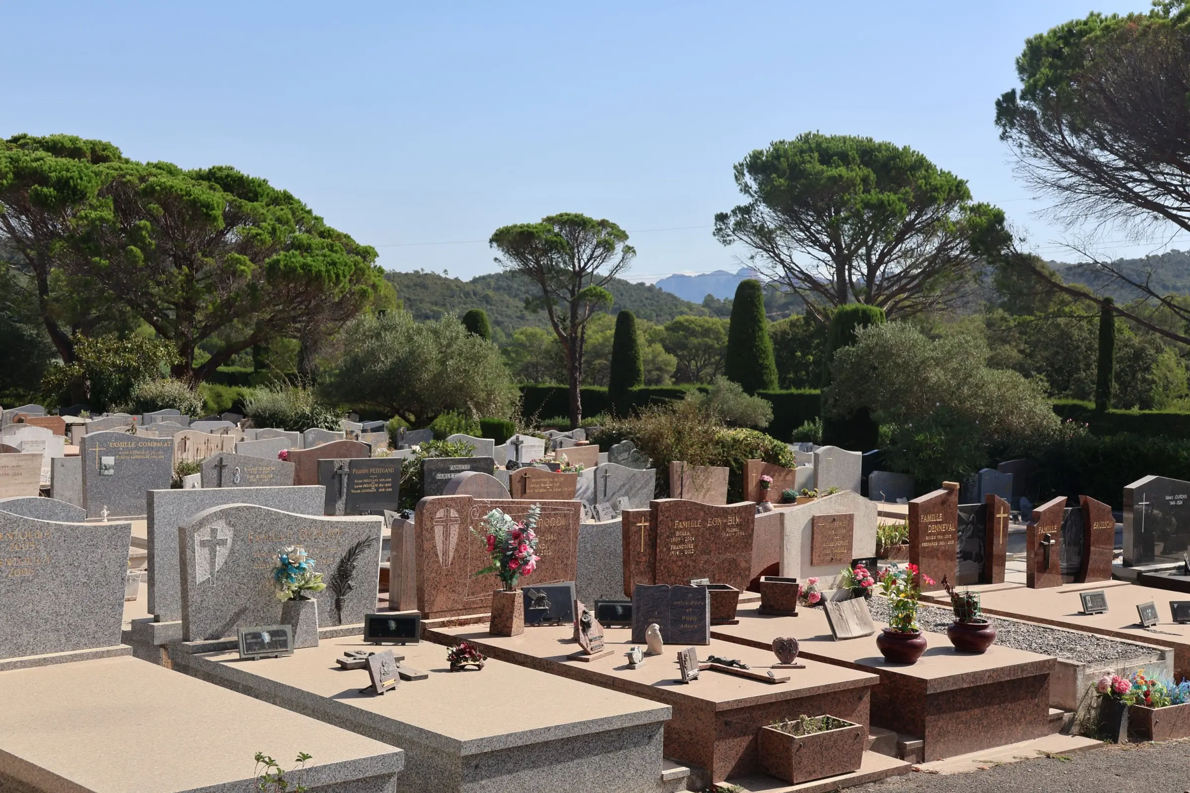 Allée de tombes et monuments funéraires dans un cimetière, entouré d’arbres et de verdure, décorations florales présentes. Allée de tombes et monuments funéraires dans un cimetière, entouré d’arbres et de verdure, décorations florales présentes.
