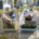 Deux tombes avant/après entretien: à gauche, fleurs fanées et bouquets abandonnés; à droite, tombe nettoyée avec bouquet frais et jardinières de plantes.