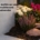 Fleur à mettre sur une tombe maintenant : guide saisonnier avec main plantant des fleurs blanches et roses près d’une tombe.