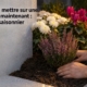 Fleur à mettre sur une tombe maintenant : guide saisonnier avec main plantant des fleurs blanches et roses près d’une tombe.