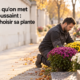 Fleurs qu’on met à la Toussaint : deux jardiniers arrangent des chrysanthèmes et autres fleurs sur une tombe.
