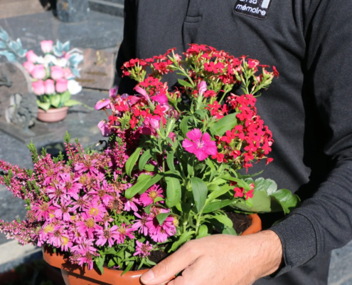 Personnel portant pot de fleurs colorées devant une tombe, fleurs roses et rouges, service funéraire écologique.