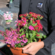 Personnel portant pot de fleurs colorées devant une tombe, fleurs roses et rouges, service funéraire écologique.