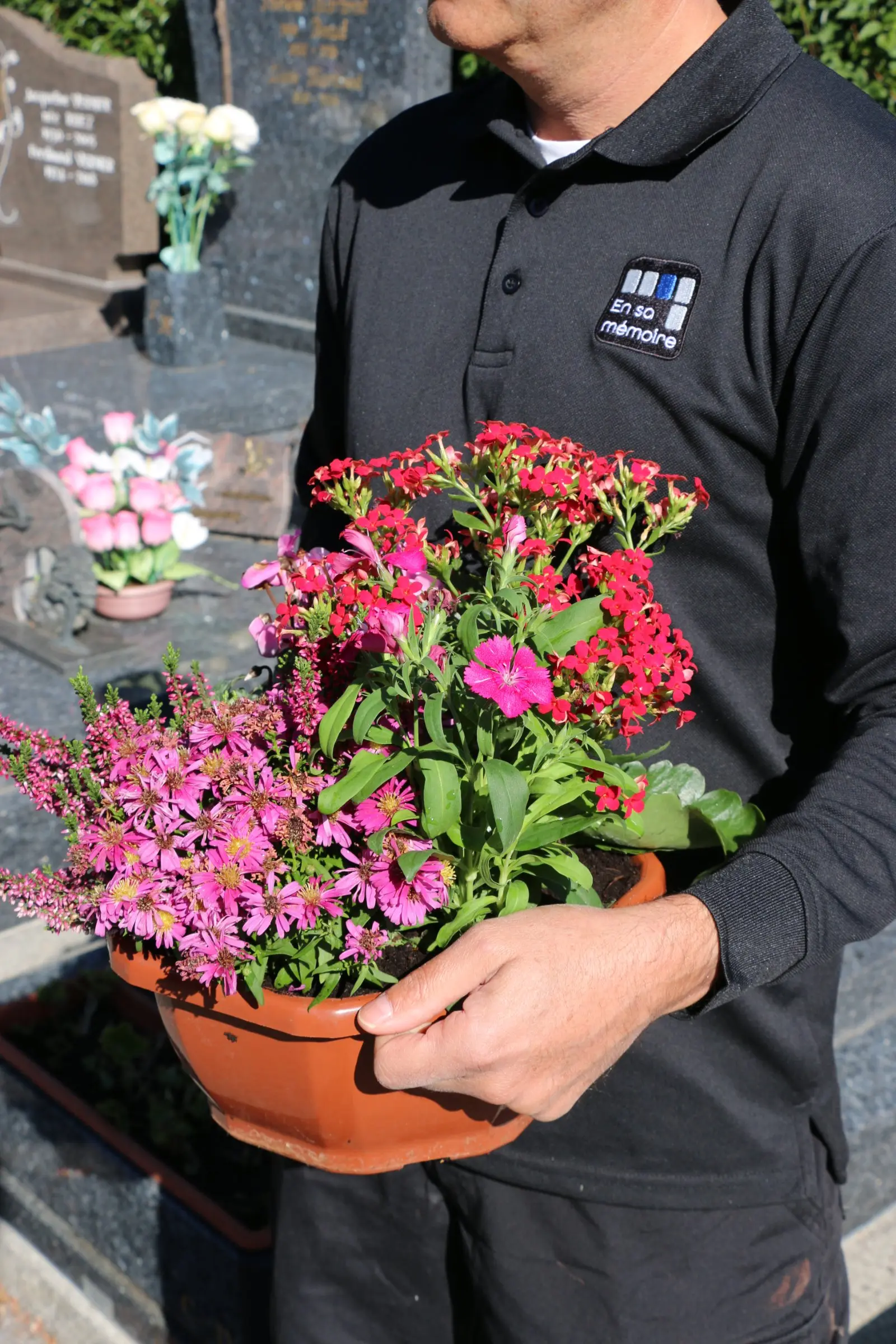 Personnel portant pot de fleurs colorées devant une tombe, fleurs roses et rouges, service funéraire écologique. Personnel portant pot de fleurs colorées devant une tombe, fleurs roses et rouges, service funéraire écologique.