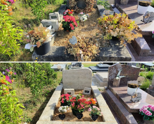 Tombe en cours de nettoyage et relooking floral, avant/après: anciennes herbes coupées et arrangement de fleurs fraîches dans une tombe entourée d’autres monuments funéraires. Ajout de pots et de petites plaques décoratives.