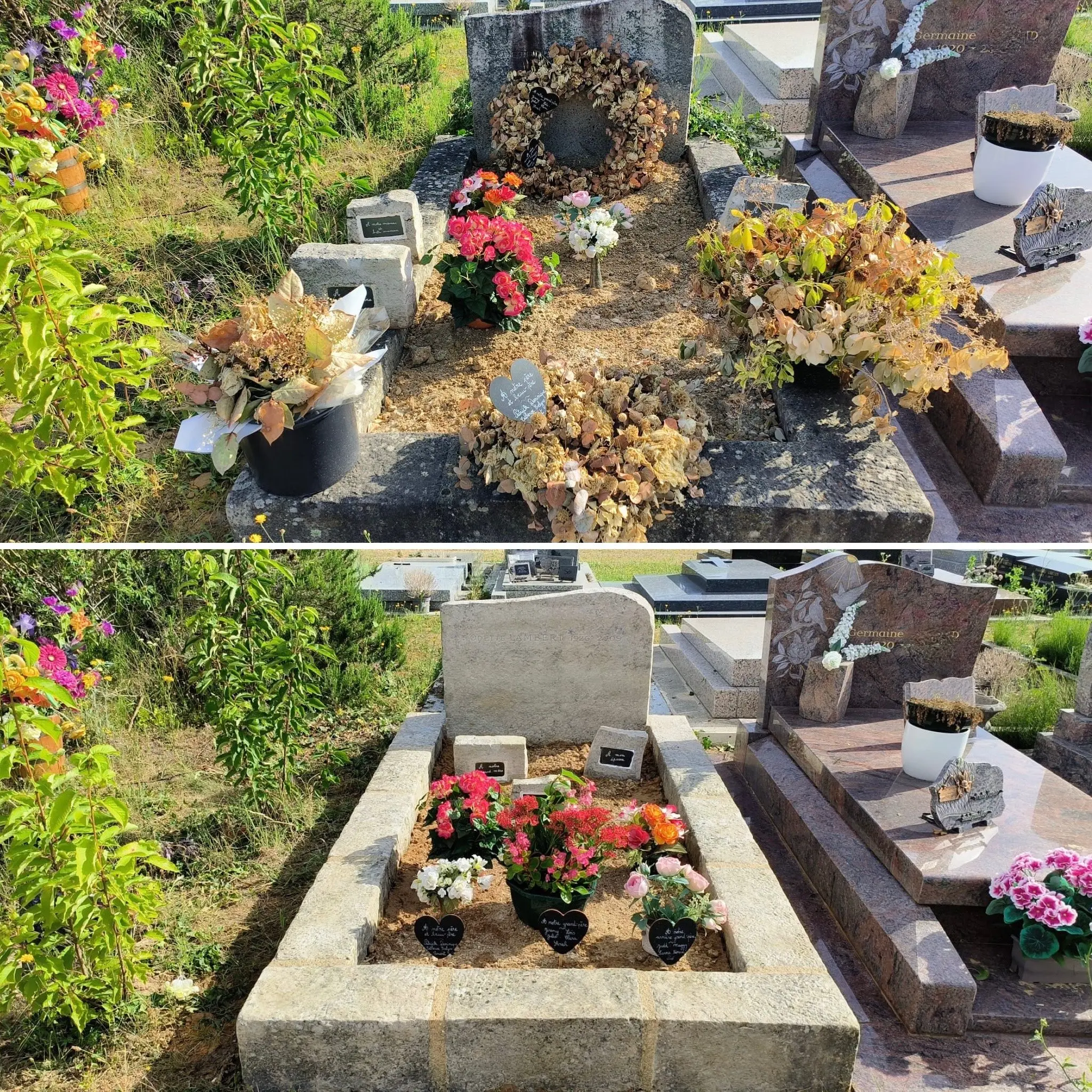 Tombe en cours de nettoyage et relooking floral, avant/après: anciennes herbes coupées et arrangement de fleurs fraîches dans une tombe entourée d’autres monuments funéraires. Ajout de pots et de petites plaques décoratives.