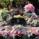 Tombe décorée avec des arrangements floraux variés : roses, fleurs pastel et plantes succulentes disposées autour d’une stèle gravée.