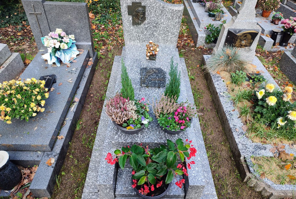 Vue aérienne de tombes gravées en pierre avec des plantes et des fleurs décoratives sur les tombes.