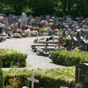 Vue d’un cimetière avec des pierres tombales et des allées, fleurs et gravures visibles, prêt pour le Nettoyage sépulture toussaint.
