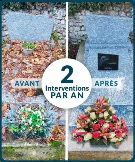 2 interventions-par-an