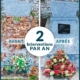 2 interventions-par-an