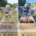 Deux tombes dans un cimetière: avant avec herbes et plantes indésirables, après garnies de fleurs et décorations. ALT: Tombe