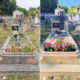 Deux tombes dans un cimetière: avant avec herbes et plantes indésirables, après garnies de fleurs et décorations. ALT: Tombe